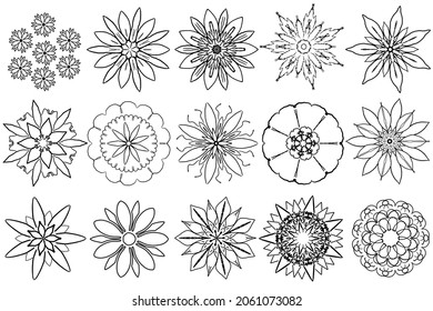 15 elementos de diseño floral. Icono floral monocromo conjunto de flores de silueta aislado sobre fondo blanco. 