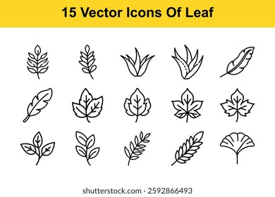 15 Vector Icons Of Leaf