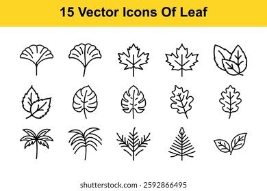 15 Vector Icons Of Leaf