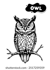 155 owl illustration model for coloring