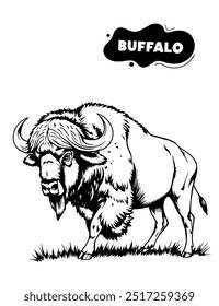 157 buffalo illustration model for coloring