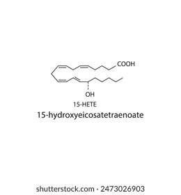 15HETE, 15-hydroxyeicosatetraenoate skeletal structure diagram.prostanoid compound molecule scientific illustration on white background.