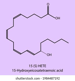 15-Hydroxyeicosatetraenoic acid - Eicosanoid biomolecule molecular formula. Skeletal molecule structure vector eps10.