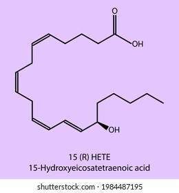 15-Hydroxyeicosatetraenoic acid - Eicosanoid biomolecule molecular formula. Skeletal molecule structure vector eps10.