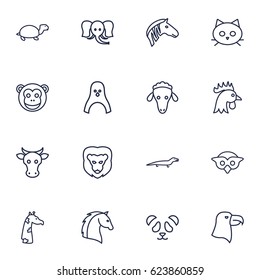 16 Alive Outline Icons Set.Collection Of Turtle, Monkey, Mammal And Other Elements.