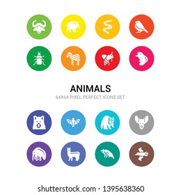 16 animals vector icons set included albatross, alligator, alpaca, anteater, antelope, badger, bat, bear, beaver, bee, zebra icons