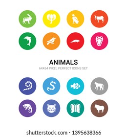 16 animals vector icons set included bull, butterfly, cat, chameleon, cheetah, clown fish, copperhead, coral snake, cottonmouth, crocodile, crow icons