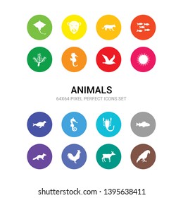 16 animals vector icons set included raven, roe, rooster, sable, salmon, scorpion, sea horse, sea lion, sea urchin, seagull, seahorse icons