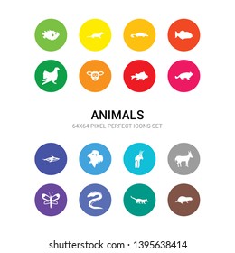 16 animals vector icons set included mole, mongoose, moray, moth, musk, nymphicus hollandicus, orangutan, orca, pallas cat, perch, philippine tarsier icons