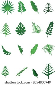 16 hermosa ilustración vectorial de hoja