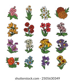 16 Botanical Flower Set - Colored