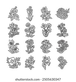 16 Botanical Flower Set - Colorless