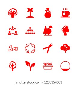 16 branch icons with palm tree and trees in this set