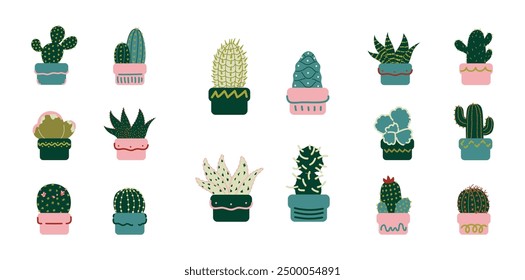 Conjunto de 16 plantas suculentas de cactus