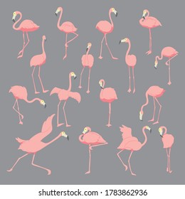 16 charactors of Flamingo with gray background icon