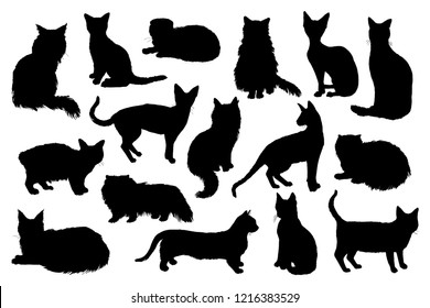 16 hand drawn cat silhouettes. Vector illustration