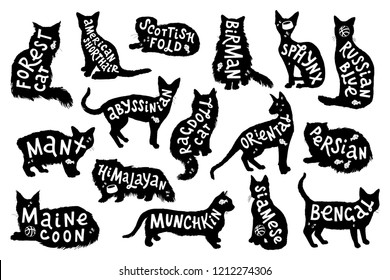 16 hand drawn lettering with breeds in cats silhouettes. Vector illustration