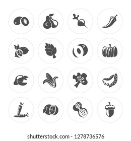16 Kiwi, Avocado, Orange, Carrot, Peas, Acorn, Lemon, Mango, Coconut modern icons on round shapes, vector illustration, eps10, trendy icon set.