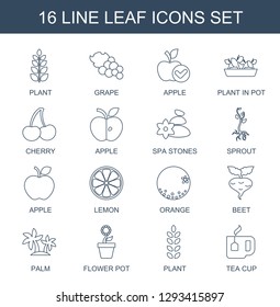 16 leaf icons. Trendy leaf icons white background. Included line icons such as plant, Grape, apple, plant in pot, cherry, spa stones, sprout, lemon. leaf icon for web and mobile.