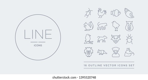 16 line vector icons set such as ant eater, ape, armadillo, baboon, bedbug contains bison, calf, canary, capybara. ant eater, ape, armadillo from animals outline icons. thin, stroke elements