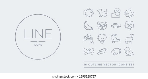 16 line vector icons set such as mole, mongoose, moray, moth, musk contains nymphicus hollandicus, orangutan, orca, pallas cat. mole, mongoose, moray from animals outline icons. thin, stroke