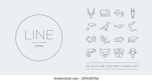 16 line vector icons set such as bull, butterfly, cat, chameleon, cheetah contains clown fish, copperhead, coral snake, cottonmouth. bull, butterfly, cat from animals outline icons. thin, stroke