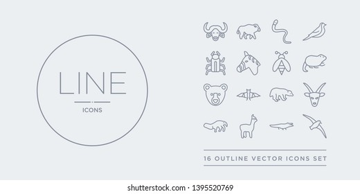 16 line vector icons set such as albatross, alligator, alpaca, anteater, antelope contains badger, bat, bear, beaver. albatross, alligator, alpaca from animals outline icons. thin, stroke elements