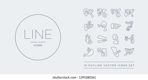 16 line vector icons set such as gastroenteritis, genital herpes, genital herpes (herpes simplex virus), gerd, giardiasis contains goitre, gonorrhea, heart disease, hemorrhoid. gastroenteritis,