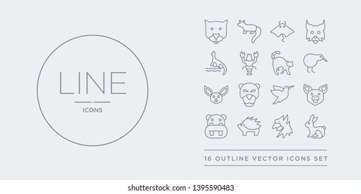 16 line vector icons set such as hare, hawk, hegdehog, hippo, hog contains humming bird, jaguar, jerboa, kiwi bird. hare, hawk, hegdehog from animals outline icons. thin, stroke elements