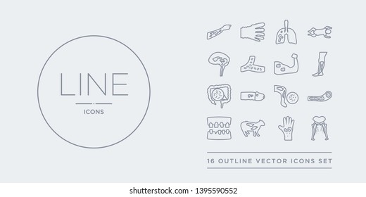16 line vector icons set such as sciatica, scleroderma, scrapie, scurvy, sepsis contains septicemia, sexually transmitted diseases, shigellosis, shin splints. sciatica, scleroderma, scrapie from