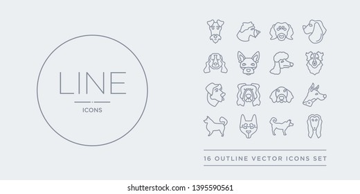 16 line vector icons set such as afghan hound dog, akita dog, alaskan klee kai dog, american eskimo american hairless terrier contains american leopard hound water spaniel anatolian shepherd