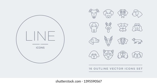 16 line vector icons set such as cockapoo dog, cocker spaniel dog, corgi dog, coton de tulear dachshund contains dalmatian doberman english setters field spaniel cockapoo cocker spaniel corgi from