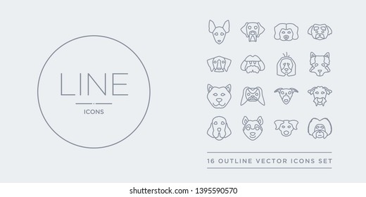 16 line vector icons set such as havanese dog, hovawart dog, husky dog, irish setter irish terrier contains italian greyhound japanese chin jindo keeshond havanese hovawart husky from dogs outline