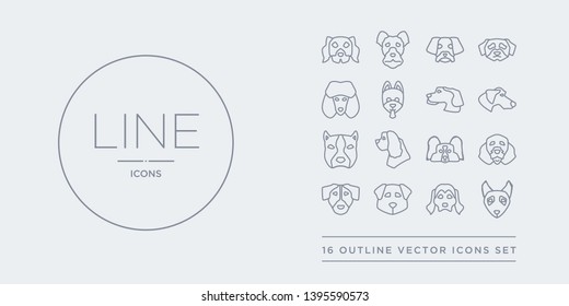 16 line vector icons set such as mudi dog, newfoundland dog, norfolk terrier dog, nova scotia duck tolling retriever otterhound contains papillon pekingese pitbull plott hound mudi newfoundland