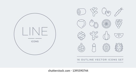 16 line vector icons set such as dragon fruit, durian, eggplant, fig, fruit contains garlic, ginger, gooseberry, grape. dragon fruit, durian, eggplant from and vegetables outline icons. thin, stroke