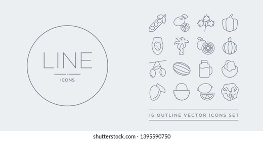 16 line vector icons set such as lettuce, lime, lychee, mango, mangosteen contains mason jar, melon, olive, onion. lettuce, lime, lychee from fruit and vegetables outline icons. thin, stroke