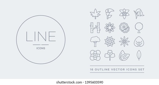 16 line vector icons set such as acicular, almond, alstroemeria, anemone, anthurium contains aster, astrantia, baobab, beech. acicular, almond, alstroemeria from nature outline icons. thin, stroke