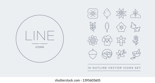 16 line vector icons set such as natural medical pills, neroli, nymphea, oak, oleander contains orchid, pansy, peony, peppermint. natural medical pills, neroli, nymphea from nature outline icons.