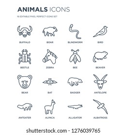 16 linear animals icons such as Buffalo, Boar, Alpaca, Anteater, Antelope, albatross, Beetle, Bear, Bee modern with thin stroke, vector illustration, eps10, trendy line icon set.