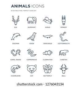 16 linear animals icons such as Elk, Elephant, Cat, Chameleon, Cheetah, Bull, Dolphin, coral snake, Crocodile modern with thin stroke, vector illustration, eps10, trendy line icon set.