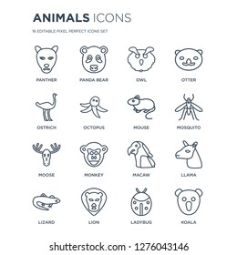 16 linear animals icons such as Panther, Panda bear, Lion, Lizard, Llama, Koala, Ostrich, Moose, Mouse modern with thin stroke, vector illustration, eps10, trendy line icon set.
