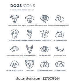 16 linear dogs icons such as Greyhound dog, Great Pyrenees Corgi Coton De Tulear Dachshund dog modern with thin stroke, vector illustration, eps10, trendy line icon set.
