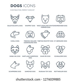 16 linear dogs icons such as Xoloitzcuintli dog, Whippet Samoyed Schipperke Schnauzer dog modern with thin stroke, vector illustration, eps10, trendy line icon set.