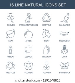 16 natural icons. Trendy natural icons white background. Included line icons such as Clover, pregnant woman, recycle, kangaroo, leaf, apple, goat. natural icon for web and mobile.