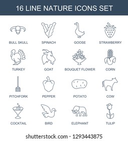 16 nature icons. Trendy nature icons white background. Included line icons such as bull skull, spinach, goose, strawberry, turkey, goat, bouquet flower. nature icon for web and mobile.