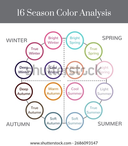 16 Season Color Analysis System Chart for Winter, Spring, Autumn and Summer Types