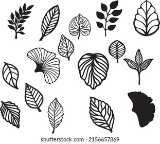 16 Skeleton Leaves Svg Bundle