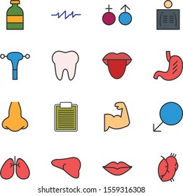 16 Universal icon for your project
   
