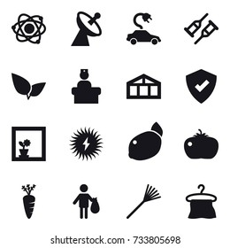16 vector icon set : atom, satellite antenna, electric car, greenhouse, flower in window, tomato, carrot, trash, rake, hanger
