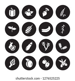 16 vector icon set : Bell pepper, Apple, Apricot, Artichoke, Arugula, Acorn, Basil, Avocado, Banana isolated on black background
